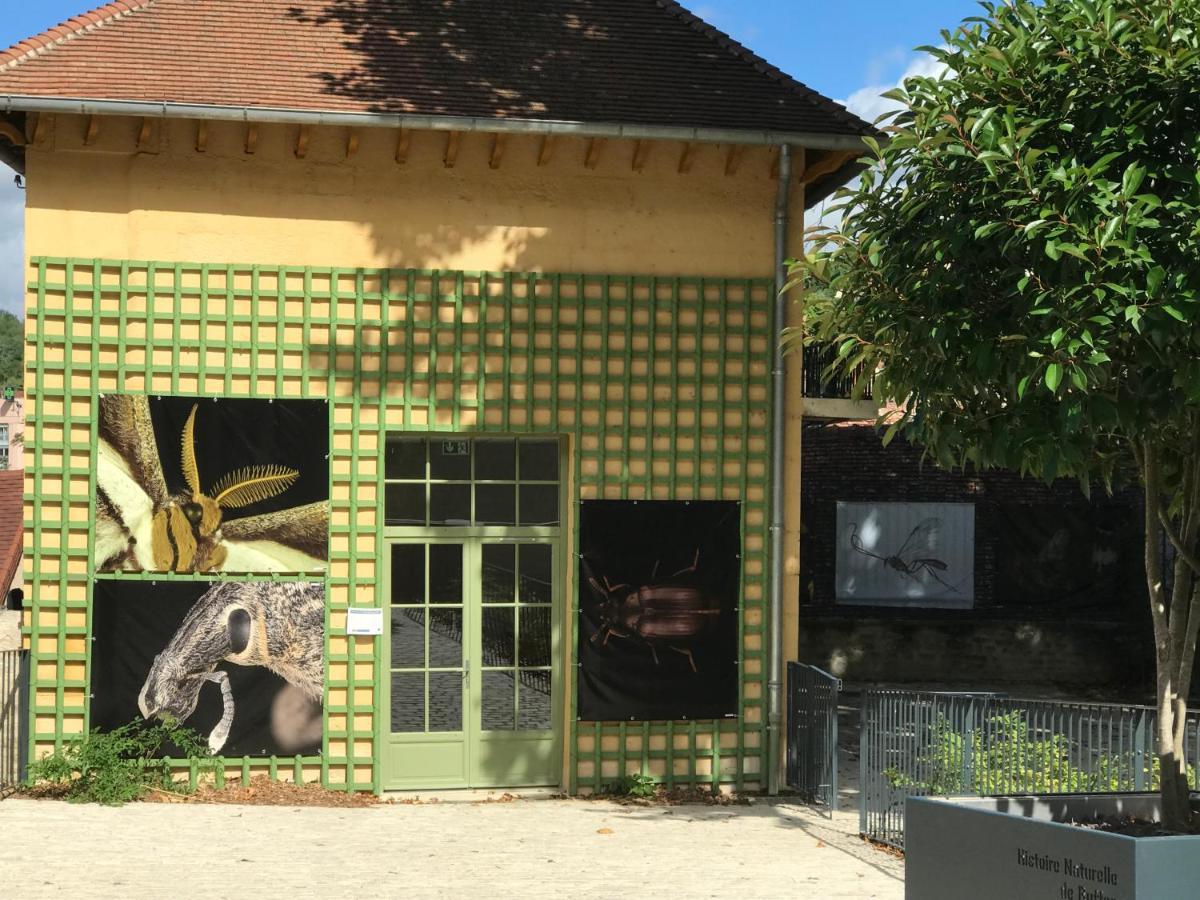 Charmante Maison Bourguignonne Avec Grand Jardin Et Parking Montbard Exterior photo